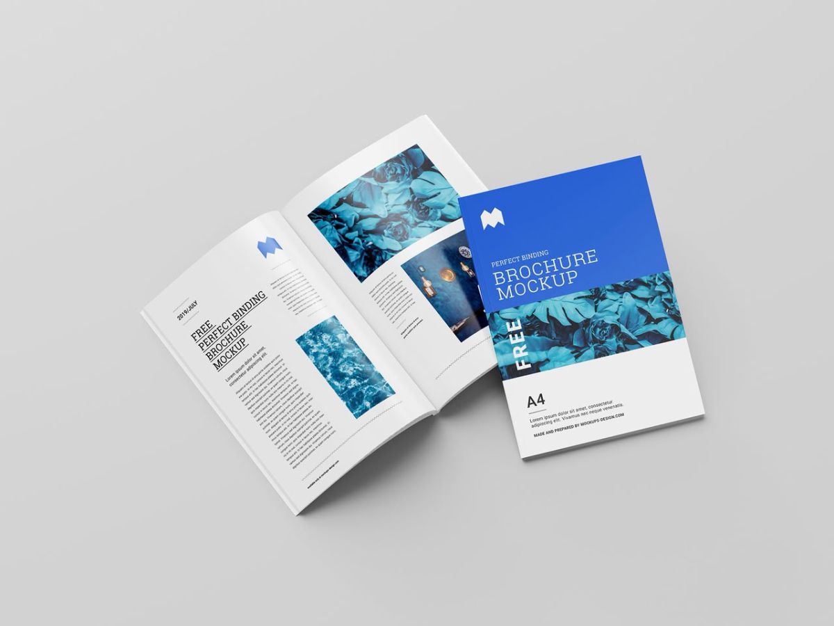 Brochure design 12-16 pages